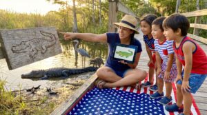 Friendly American alligator facts for kids: clear, short guide to range, life cycle, diet, behavior, and safety. Includes quick activities and links to Storypie stories for different age groups.