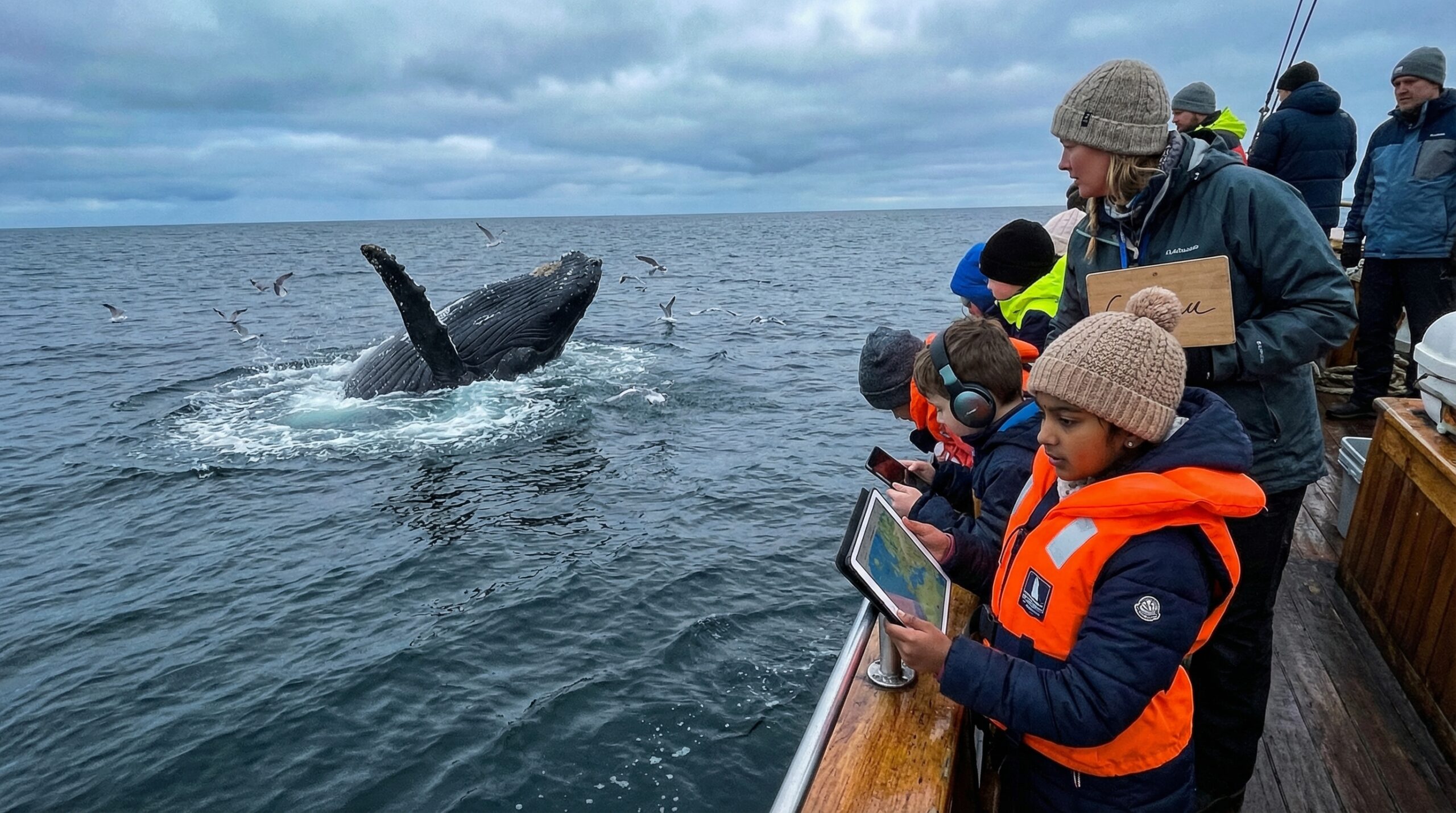 Friendly and massive, the humpback whale delights families. Learn simple, kid-friendly facts on size, song, migration, feeding, calves, and conservation. Try Storypie stories for every age and spark curiosity today together.