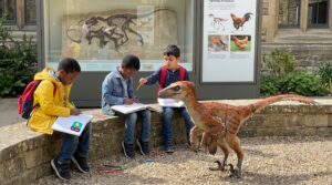 Velociraptor facts for kids paint a turkey-sized, feathered hunter from 75 million years ago. Learn where it lived, its feather evidence, anatomy highlights, and the famous Fighting Dinosaurs fossil snapshot.