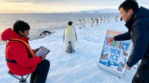 Discover clear, kid-friendly emperor penguin facts for kids. Learn about their life cycle, size, dives, parenting, diet, predators, and why sea ice matters. Try a simple family activity and a pledge to protect penguin homes.