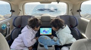 Meet the blue whale for kids: the largest animal on Earth. Friendly facts on size, diet, calves, songs, and ocean importance. Includes age-graded read or listen stories on Storypie and a gentle at-home activity.
