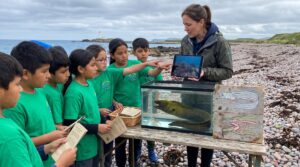 Discover the Green Moray Eel, a slippery reef resident with a yellow mucus coat that turns dark skin green. Learn where it lives, how it hunts, safety tips, and family activities to spark curiosity.