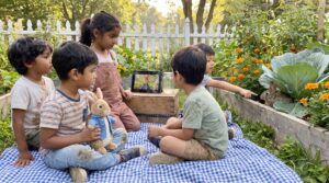 Beatrix Potter's The Tale of Peter Rabbit book grew from a picture letter. Discover its watercolor art, origins, editions, and why families keep returning to this cozy, mischievous classic for read alouds.